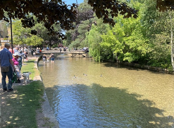 River and bridge