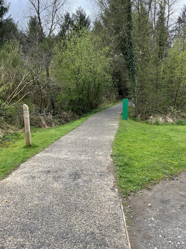 Image of a path