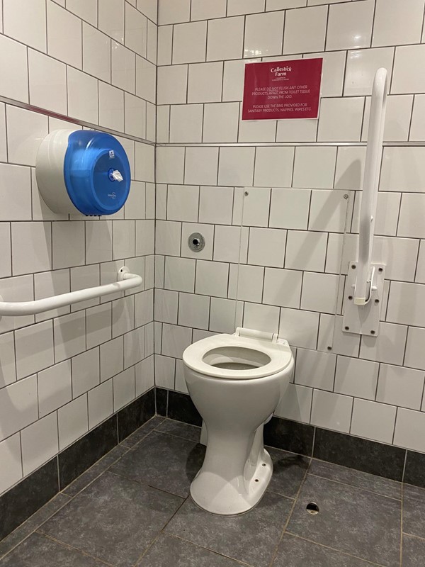 Image of the accessible toilet.