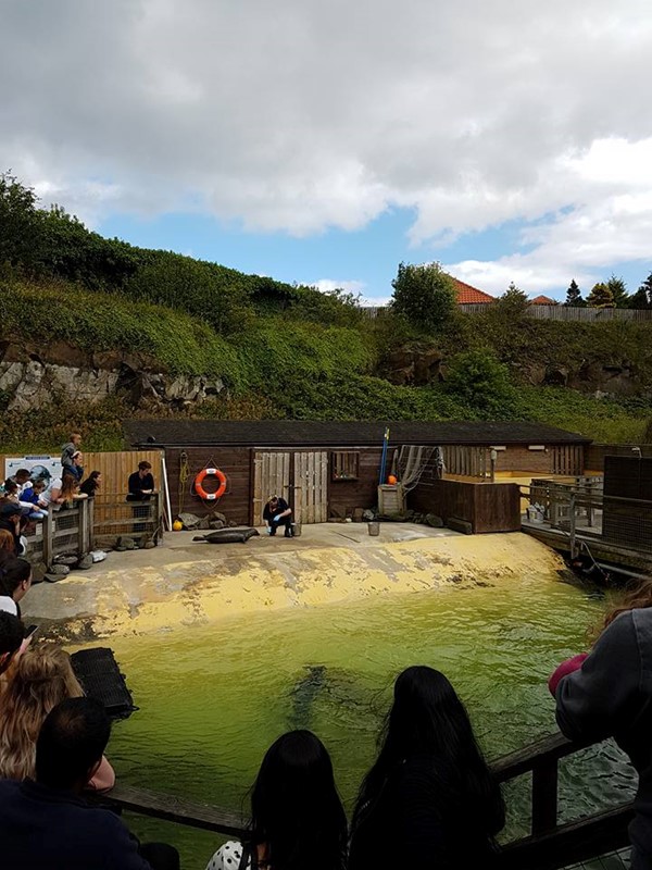 Picture of Deep Sea World, North Queensferry