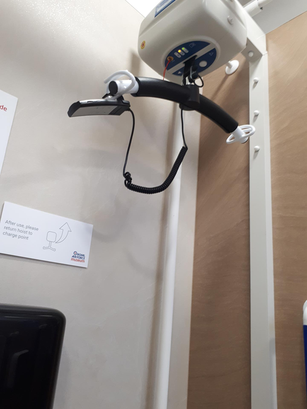 Hoist and controller