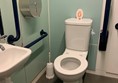 View of two handrails next to toilet and red cord that hangs to floor.