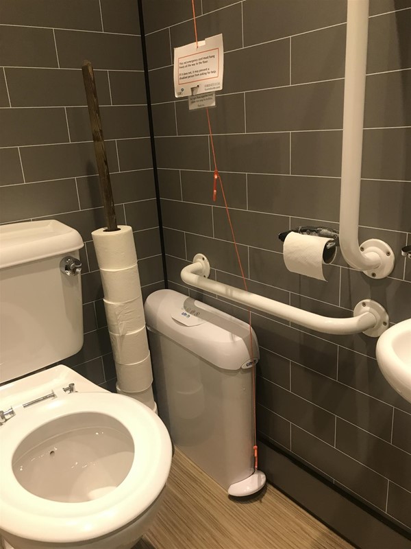 Image of an accessible toilet