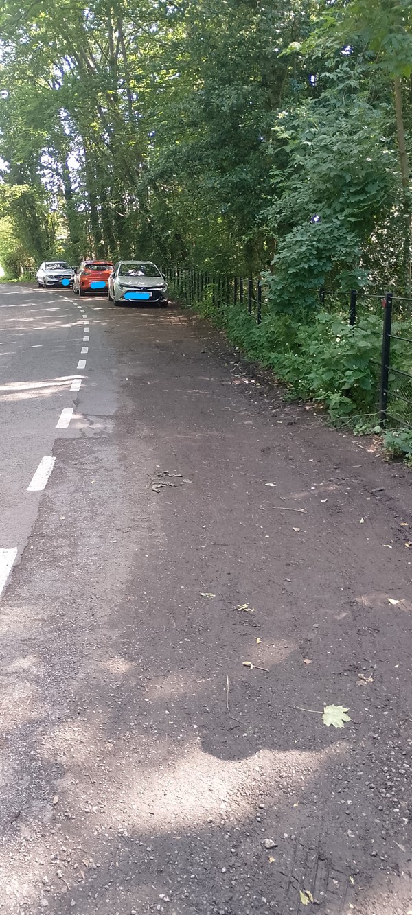 The layby for parking. It was easy enough for us, bit obviously has limitations