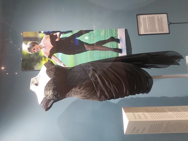 Image of a dress on a mannequin