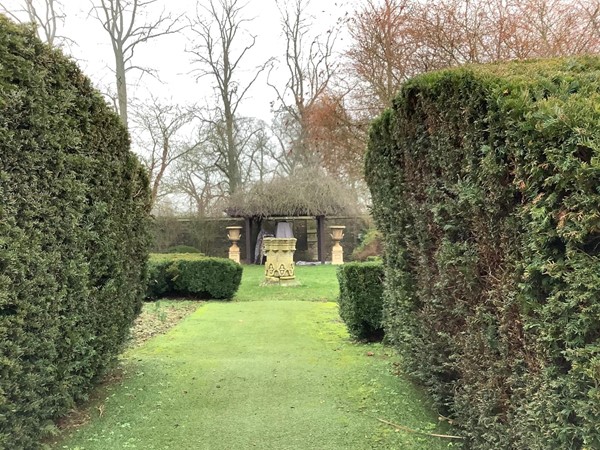 Picture of a grass garden pathway through hedges