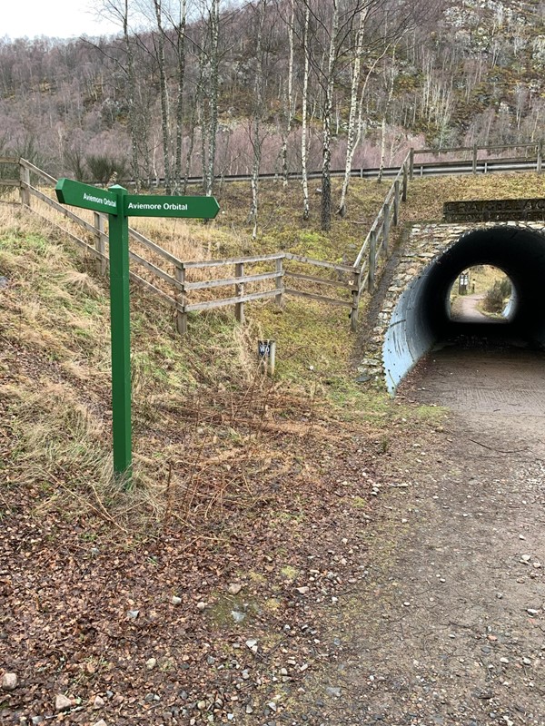 The underpass
