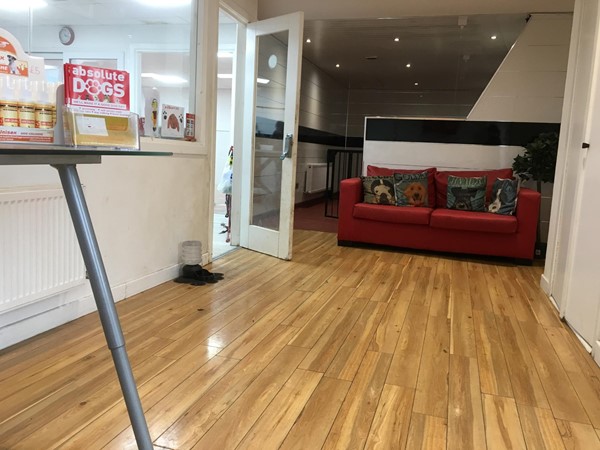 Image of the waiting room inside Absolute Dogs.