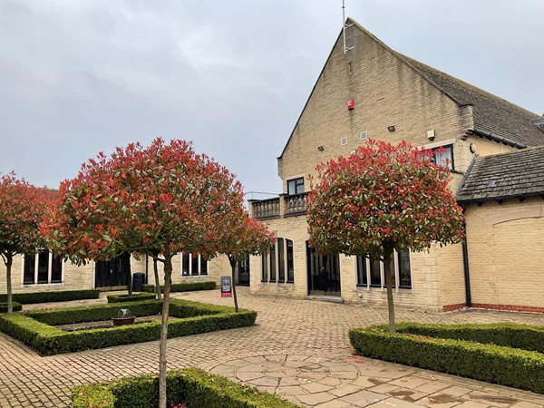 Picture of a garden