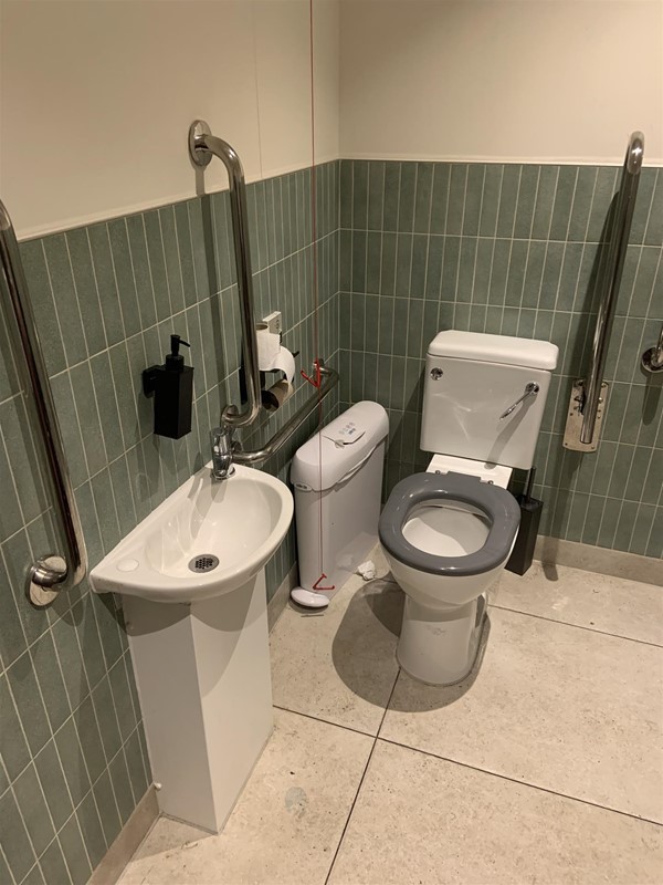Image of the inside of the bathroom. The sink is on the left wall and the toilet is on the right wall. The sink is a small pedestal sink and the tap has a short lever and there is liquid soap in a dispenser above the sink. There is a toilet paper holder  and a narrow sanitary bin with a pedal-operated lid to the right of the sink/toilet. There is a horizontal handrail to the left of the toilet that can be lifted and moved out of the way. There is space for a right-side transfer. The flush is a lever. There is a red cord close to the wall to the right of the toilet and the sink