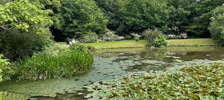 Bonython Estate Gardens
