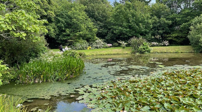 Bonython Estate Gardens