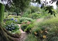 National Trust - Hidcote