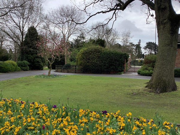 Picture of a park
