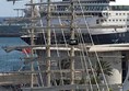 Picture of SV Tenacious