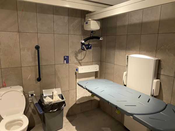 Adaptive toilet and adult changing area