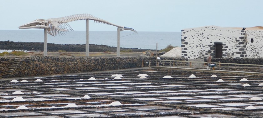 Salt Museum Salinas del Carmen