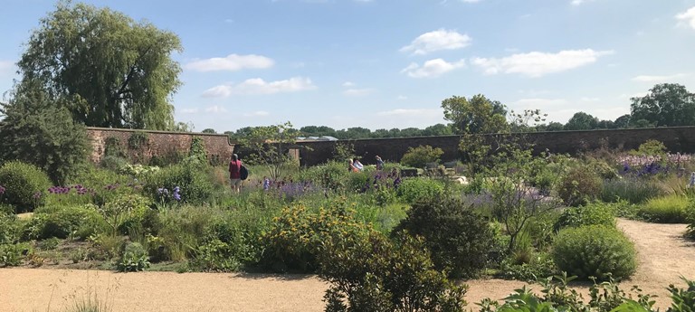 RHS Garden Bridgewater