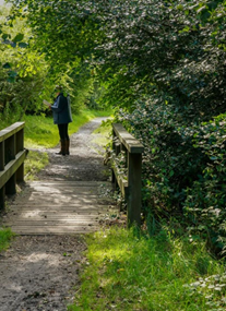 Bellsquarry Wood