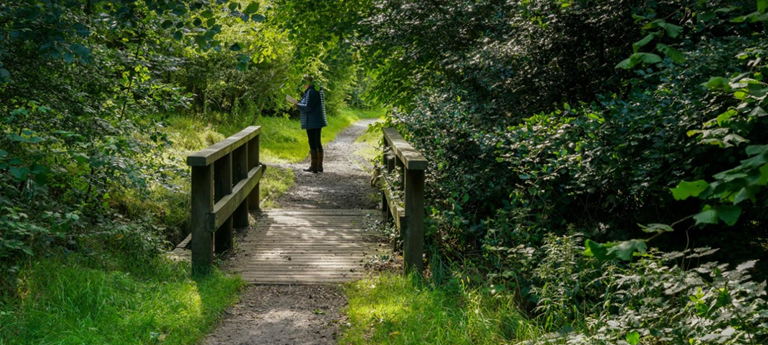 Bellsquarry Wood