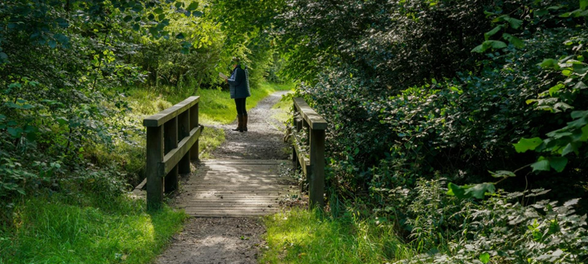 Bellsquarry Wood
