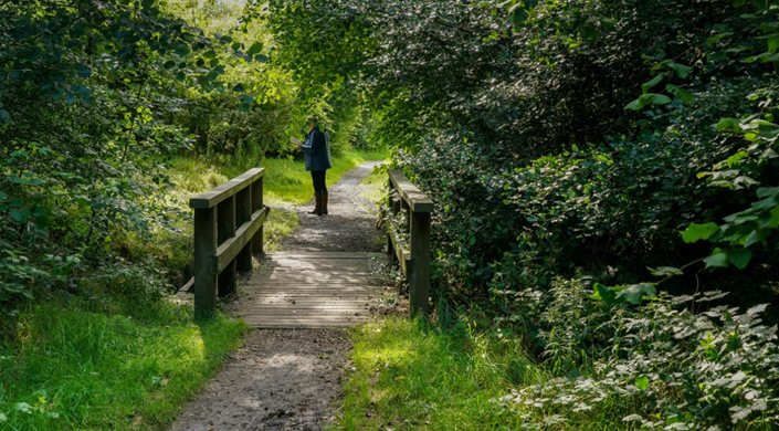 Bellsquarry Wood