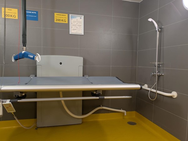 Image of Adjustable change bed