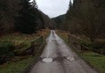 Picture of Hamsterley Forest