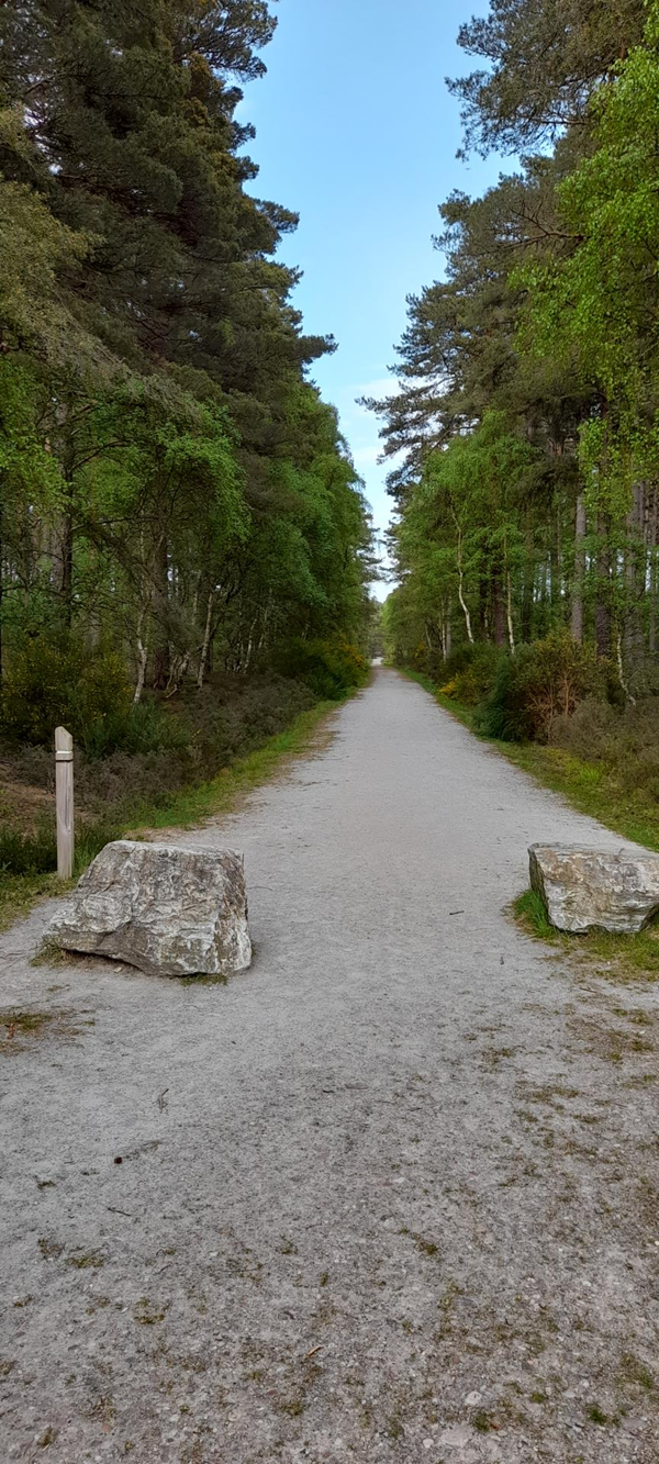 Picture of Culbin walk