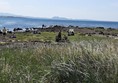 Lovely view over the Forth and the sea from parking area with good facilities