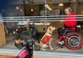 Assistance dog at Pizza Express