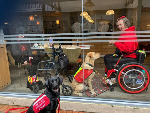 Assistance dog at Pizza Express