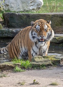 Blackpool Zoo