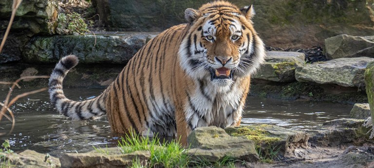 Blackpool Zoo