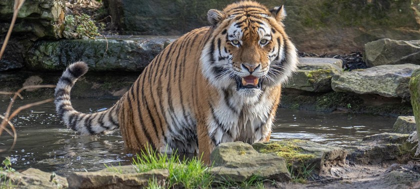 Blackpool Zoo