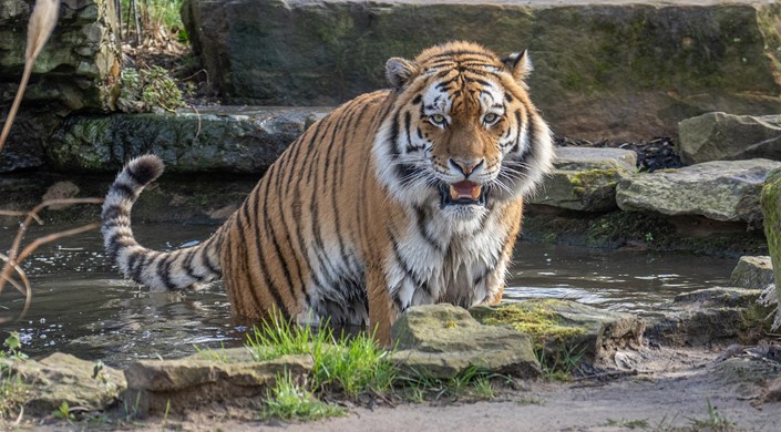Blackpool Zoo