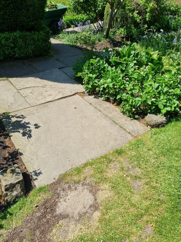 Examples of grass and stone paths