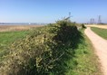 Picture of The RSPB: Newport Wetlands