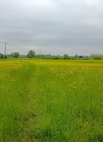 Tewkesbury Nature Reserve