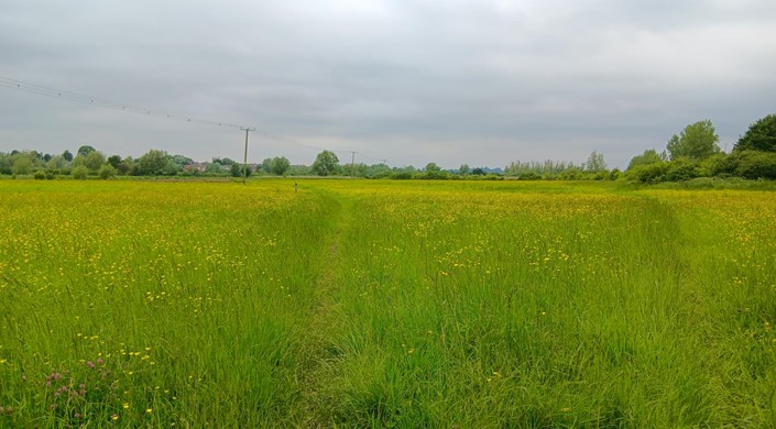 Tewkesbury Nature Reserve