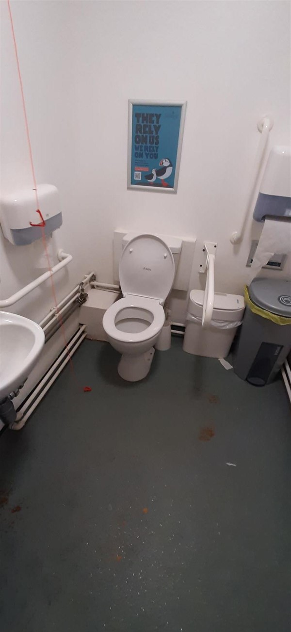 Image of an accessible toilet