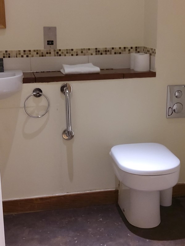 Picture of accessible toilet at Forest Holidays Blackwood Forest, Winchester