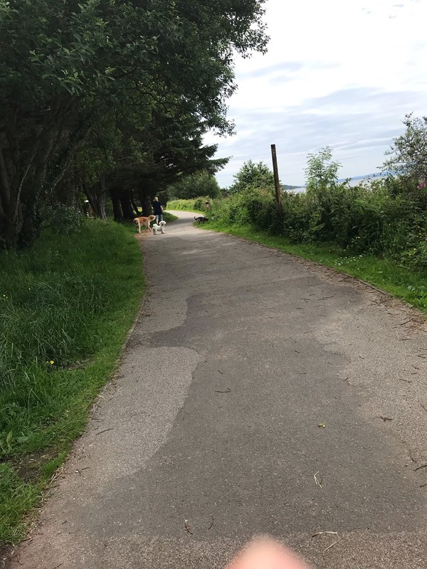 Section of renovated footpath