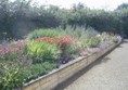 Picture of Breezy Knees Garden