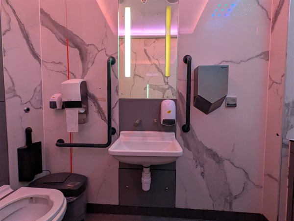 Image of sink in the accessible toilet