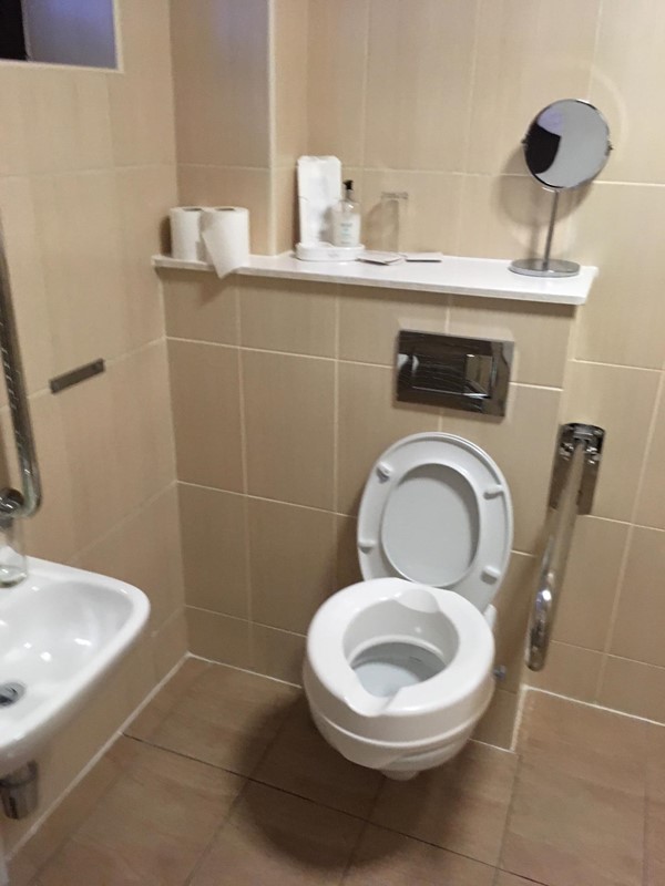 Toilet area with own raised seat