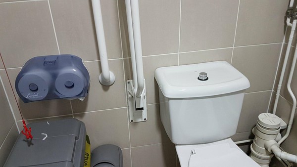 Emergency pull cord and toilet roll holder out of reach from toilet