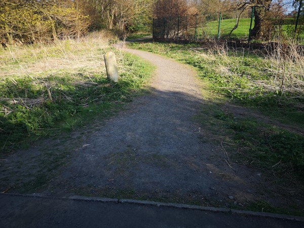 Image showing one of the paths leading off from the cycle path.