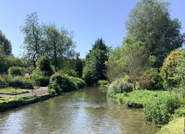 Garden and river
