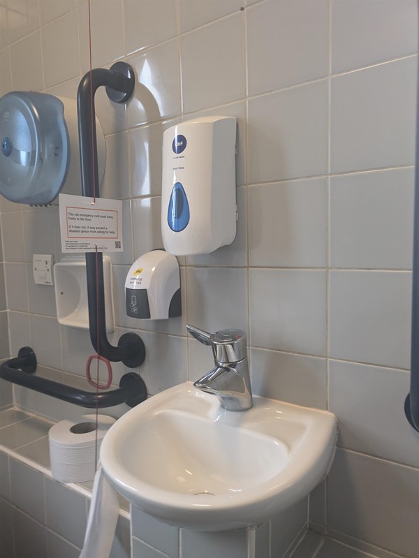 Image of sink in the accessible toilet